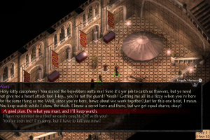 Baldur's Gate and Baldur's Gate II: Enhanced Editions Screenshot