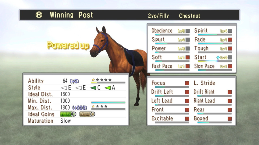 Champion Jockey Screenshot