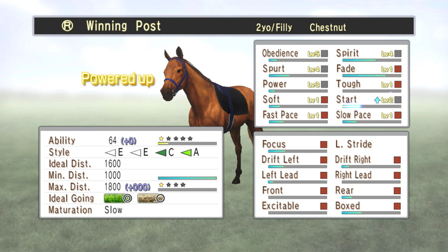 Champion Jockey Screenshot