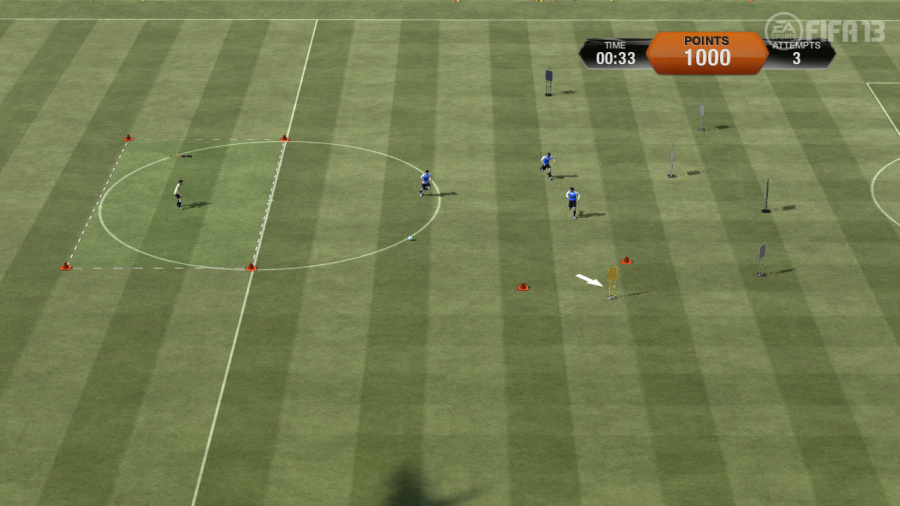 FIFA 13 Screenshot