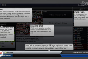 FIFA 13 Screenshot