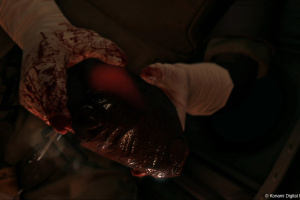 Metal Gear Solid V: The Phantom Pain Screenshot