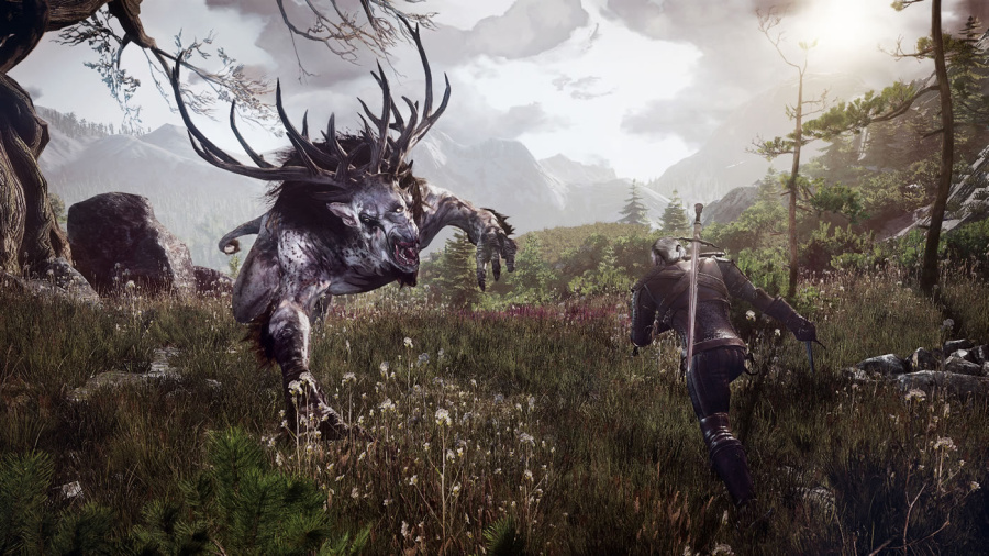 The Witcher 3: Wild Hunt Review - Screenshot 2 of 5