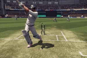 Don Bradman Cricket Screenshot