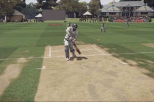 Don Bradman Cricket Screenshot