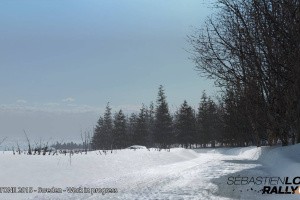 Sébastien Loeb Rally EVO Screenshot