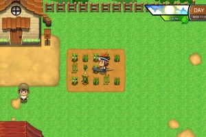 Wild Season Screenshot