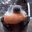 Avatar: Fiendish-Beaver