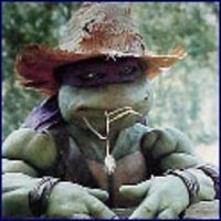 TurtleWhacks