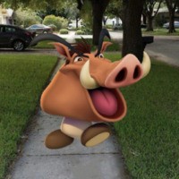 HotGoomba