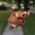 Avatar: HotGoomba