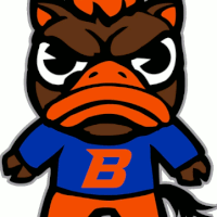 DuckyBronco