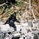 Sasquatch317